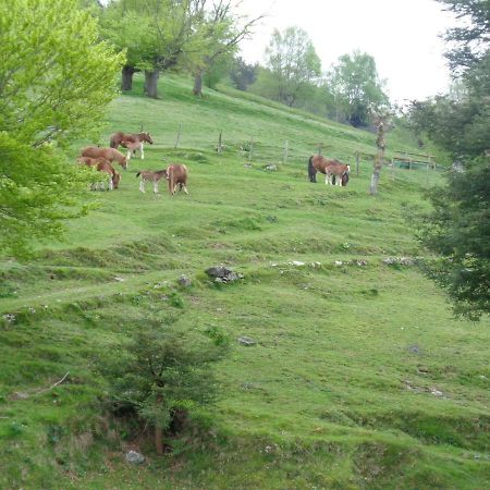 Casa Rural Alustiza Guest House Villabona ภายนอก รูปภาพ