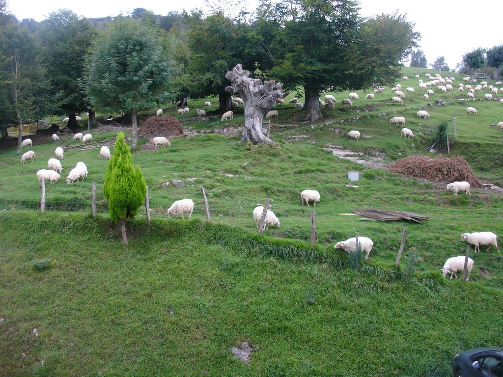 Casa Rural Alustiza Guest House Villabona ภายนอก รูปภาพ