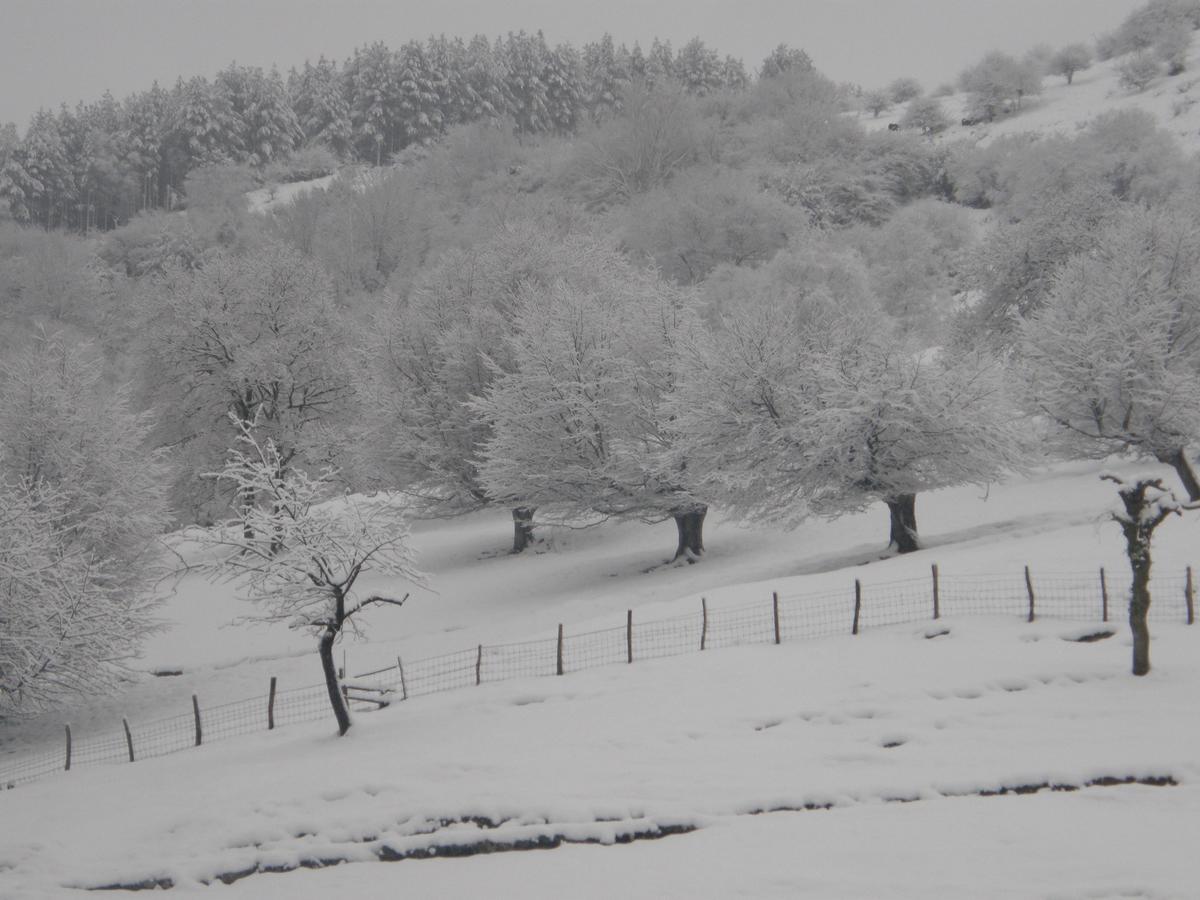 Casa Rural Alustiza Guest House Villabona ภายนอก รูปภาพ