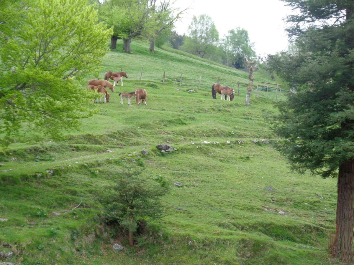 Casa Rural Alustiza Guest House Villabona ภายนอก รูปภาพ